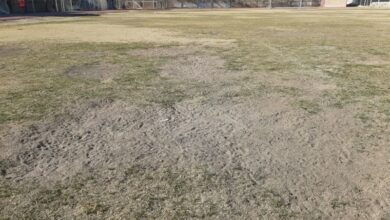 واگذاری 10 هزار قطعه زمین نهضت ملی مسکن و جوانی جمعیت به مردم کرمان 