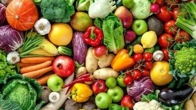 ورود هلدینگهای ملی به کردستان برای فرآوری محصولات کشاورزی/ هدیه خودرو به کشاورزان