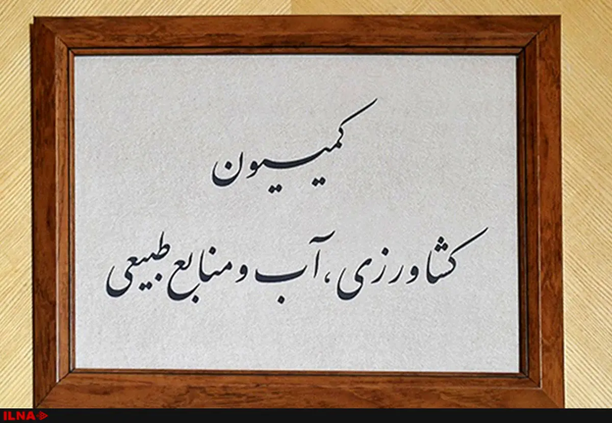 پرونده باروری ابرها و توسعه فناوریهای علوم جوی روی میز کمیسیون کشاورزی/ مشکلات ناشی از افزایش بی رویه قیمت گوشت بررسی میشود