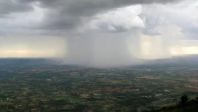 پیشبینی کاهش بارشها در هفته نخست بهمن/ حوضه آبریز خلیجفارس و دریای عمان این هفته پربارش است