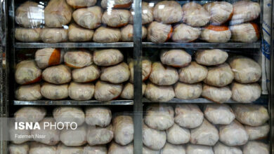 چگونه مرغ ارزان میشود؟