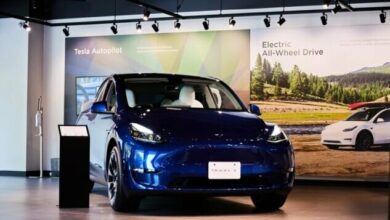 چین دست یاری تسلا را میگیرد