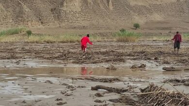 کارمزد تسهیلات پرداختی کشاورزان خسارت دیده به مدت یک سال استمهال میشود