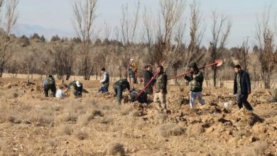 کاشت یکهزار اصله نهال در پارک جنگلی فدک اراک