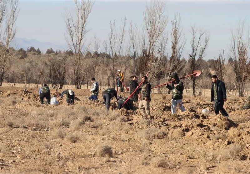 کاشت یکهزار اصله نهال در پارک جنگلی فدک اراک