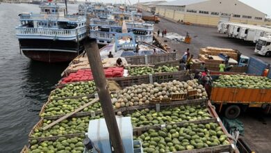 کریدور سرد بندر سالیانکا در راستای توسعه صادرات ایران راهاندازی شد