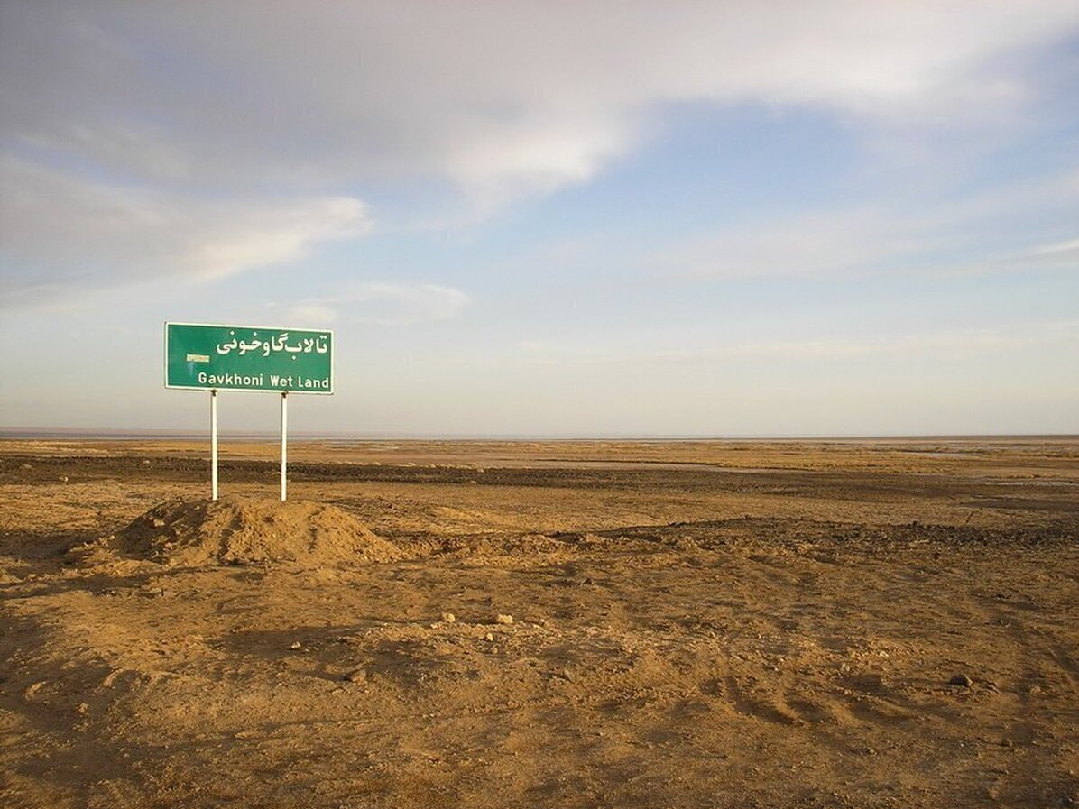 گاوخونی لب تَر کرد