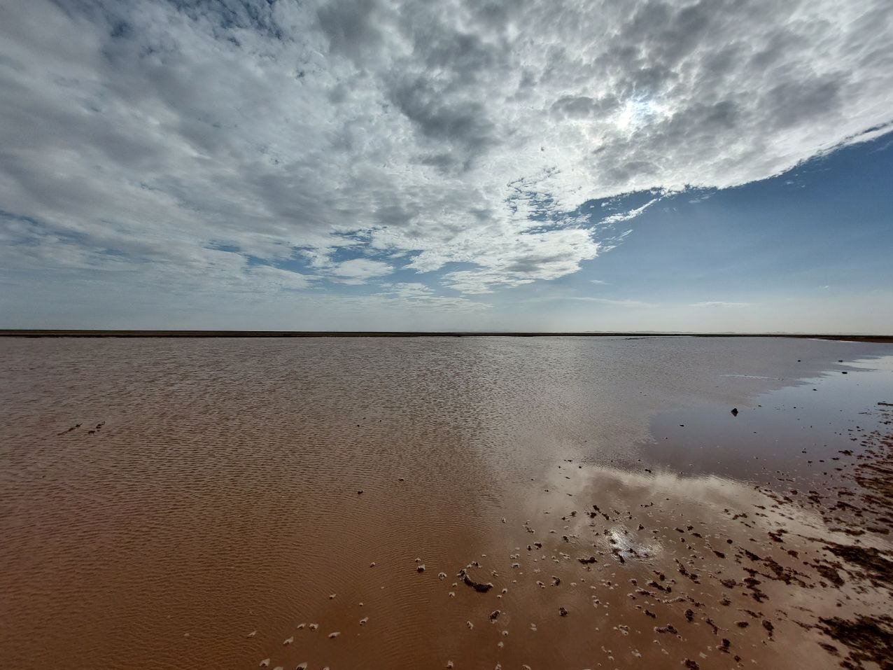 گاوخونی لب تَر کرد