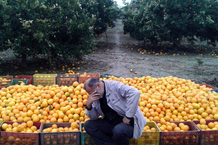 گرفتاری سفره مردم در طمع دلالان