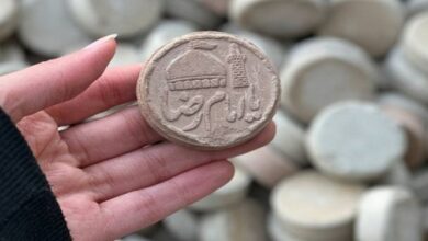 یا ایها الرئوفِ سر راه ماندهها