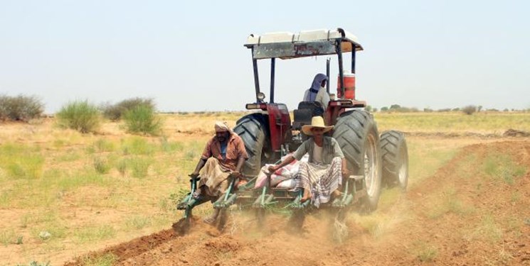یمنیها با توسعه بخش کشاورزی تحریمهای غذایی را به چالش میکشند