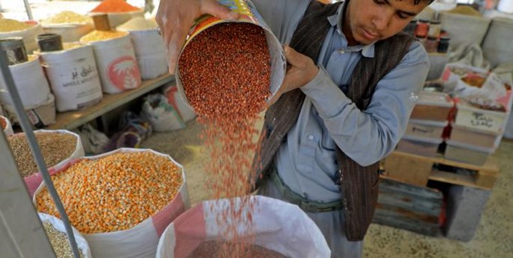 یمنیها با توسعه بخش کشاورزی تحریمهای غذایی را به چالش میکشند