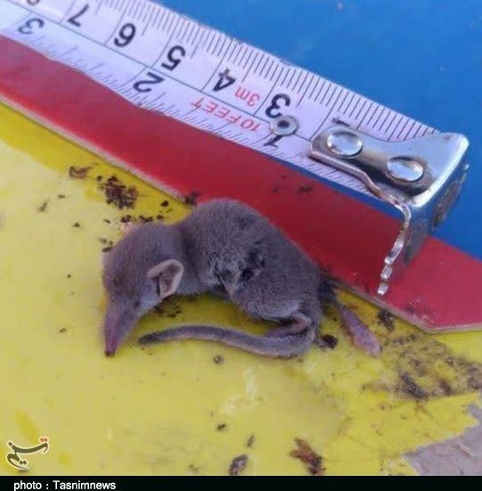 استان لرستان ,