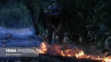۱۵۰ میلیارد تومان برای پیشگیری و اطفای حریق جنگلها و مراتع اختصاص پیدا میکند