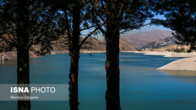 ۱۶ استان و ۲۸ شهر در شرایط خاص منابع آبی/برنامهای برای جیرهبندی آب نداریم