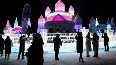 آخرین خبرها از ارائه سیمکارت گردشگری