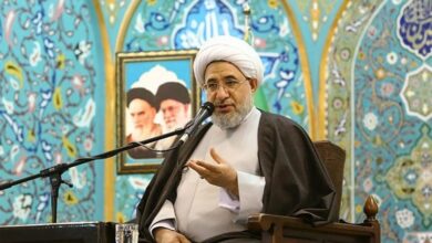 آیتالله اراکی: اساس حل مشکل شرکت هپکو ما بودیم/ برخیها در استان مرکزی حضور من را برنمیتابند