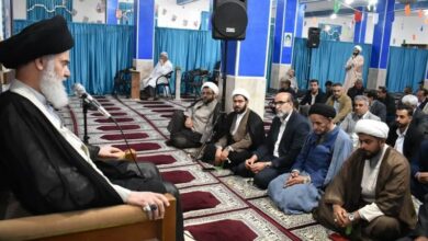 آیتالله حسینیبوشهری: مردم ایران با مشارکت گسترده مطمئناً پشتیبان انقلاب خواهند بود