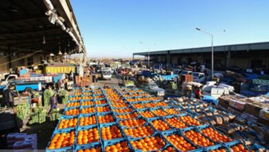 اجاره خیابانهای میادین میوه ممنوع