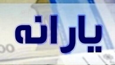 اجرای طرح یارانه مضاعف فجرانه از 17 بهمن به مدت 3 ماه