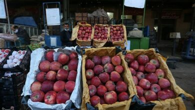 استقبال از عید نوروز و ماه رمضان با راهاندازی 4 بازارچه محصولات کشاورزی در شهرکرد