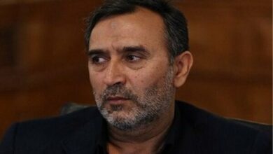 امیدواریم رای دادگاه هلندی به نفع بانکهای ایرانی صادر شود