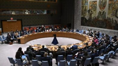 _ایرلند_: _حق_ _وتو_ _در_ _شورای_ _امنیت_ _در_ _قرن_ _بیست_ _و_ _یکم_ _جایی_ _ندارد_