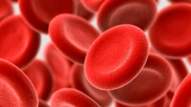 بابل میزبان سیزدهمین کنگره پیوند سلولهای خونساز بنیادی خواهد بود