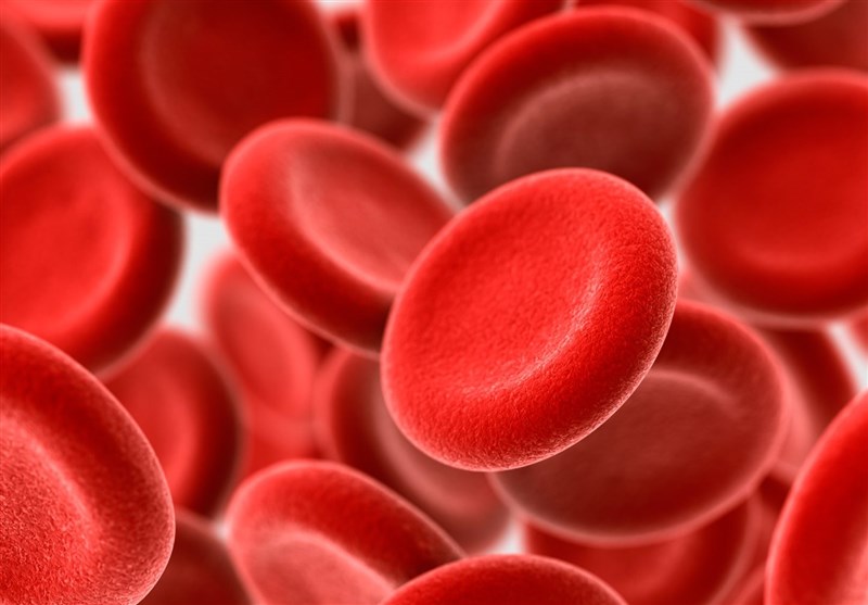 بابل میزبان سیزدهمین کنگره پیوند سلولهای خونساز بنیادی خواهد بود