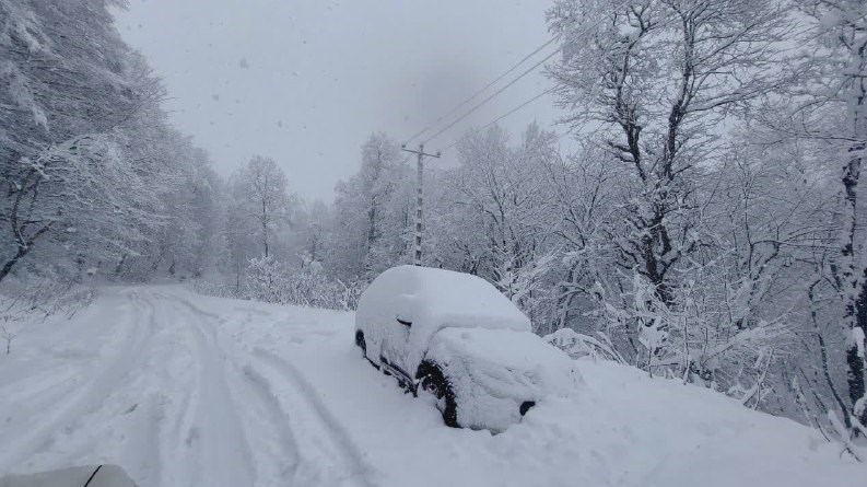 بارش برف سنگین راه 60 روستا در سوادکوه را مسدود کرد/ روستایی که زیر برف دفن شد + فیلم
