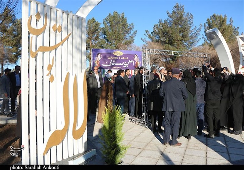 استان کرمان , دهه فجر انقلاب اسلامی ,