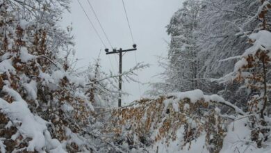 تداوم تلاشها برای پایدار نگهداشتن شبکه برق کشور در زمستان پربرف