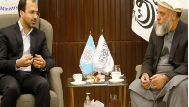 تسهیلات ویژه افغانستان برای سرمایهگذاران ایرانی