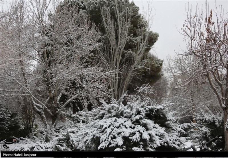 تصاویری از اصفهان سفیدپوش