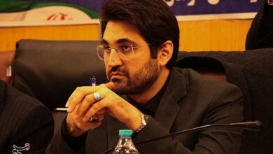 تمرکز سازمان امور مالیاتی بر دانهدرشتهاست