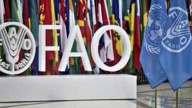 توسعه همکاری محور دیدار مقامات تاجیکستان و سازمان فائو