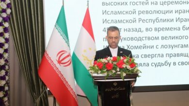 حقیقیان: ایران بر تنشزدایی و تأمین امنیت دستهجمعی در منطقه تاکید دارد