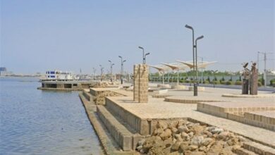 حل مشکلات گردشگری بوشهر به برنامهریزی اصولی و علمی نیاز دارد