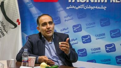 دبیر شورای فرهنگ عمومی: باید با زبان هنر با جهان سخن بگوییم/ به ثروتهای فرهنگی بیتوجه بودیم