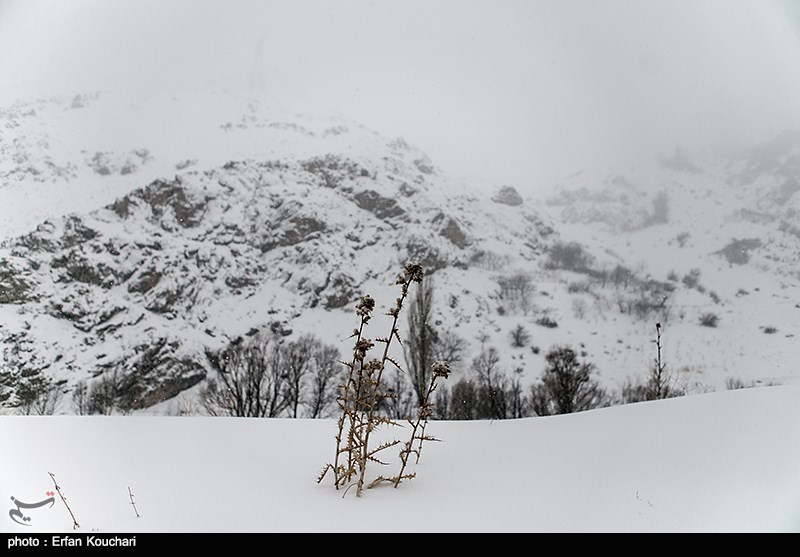 در انتظار یک جمعه برفی در مازندران