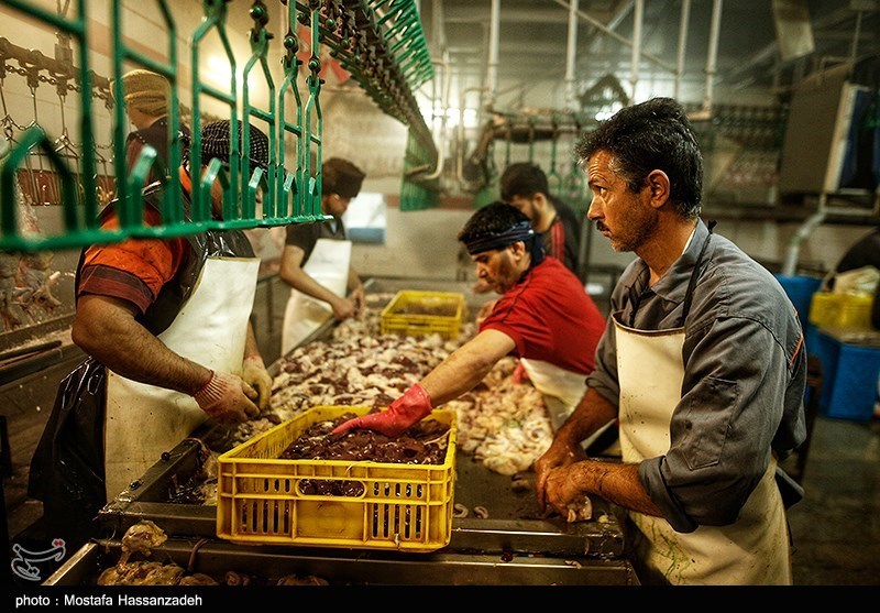 رشد 60 درصدی تولید مرغ در لرستان