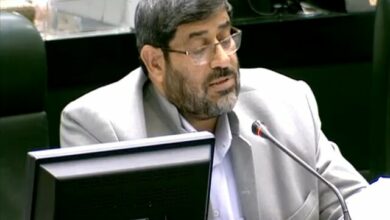 سعادتی: انتخابات پرشور، پشتوانه نظام را مستحکمتر میکند