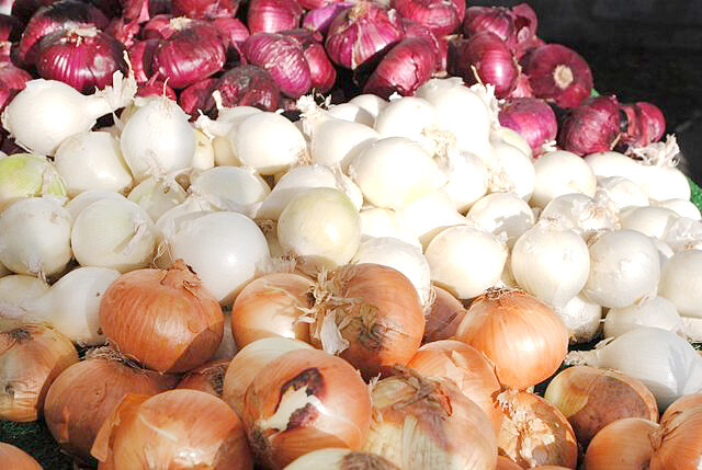 سیاستهای حمایتی در تنظیم بازار پیاز/ مازاد پیاز صادر میشود