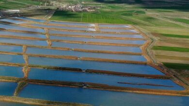 سیلاب مانعِ غرقشدن شهرهای ایران