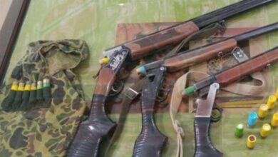 شلیک گلوله شکارچیان به محیطبان دنا/ شکارچیان متواری شدند