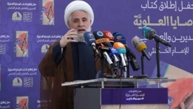 شیخ نعیم قاسم: موضع ایران در حمایت از فلسطین افتخارآمیز است/ همین الان میتوانیم پیروزی مقاومت را اعلام کنیم