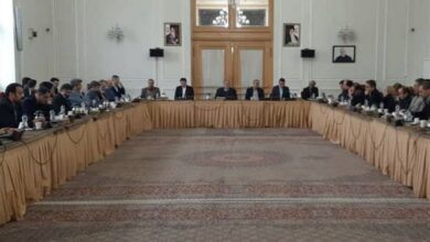 صفری: تعداد پستهای وابستههای بازرگانی در قاره آفریقا افزایش یافته است