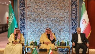 عنایتی: کشورهای منطقه میتوانند با تشکیل یک مجمع گفتگوی منطقهای بنای کار بلند مدتی را پیریزی نمایند