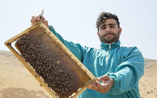 فراهم کردن بازار کار فارغالتحصیلان کشاورزی