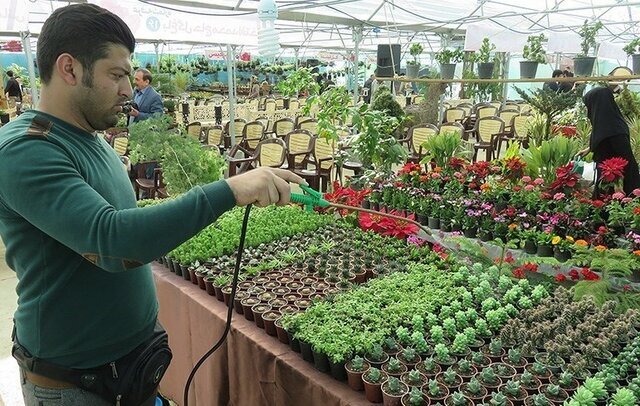 فراهم کردن بازار کار فارغالتحصیلان کشاورزی